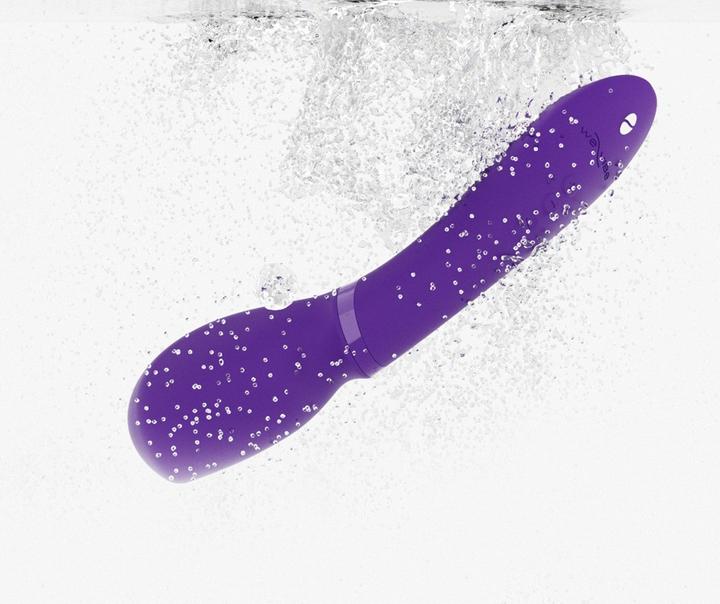 Immagine prodotto We-Vibe Parete 2