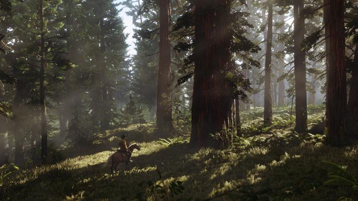 Image du produit Rockstar Red Dead Redemption 2 (PS4, EN)