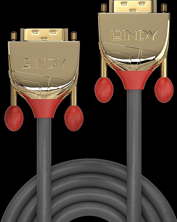 Actual product image Lindy Dvi — Dvi (0.50 m, DVI)