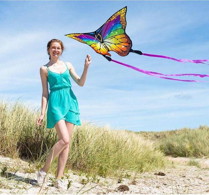 Image du produit Invento Butterfly Kite Rainbow