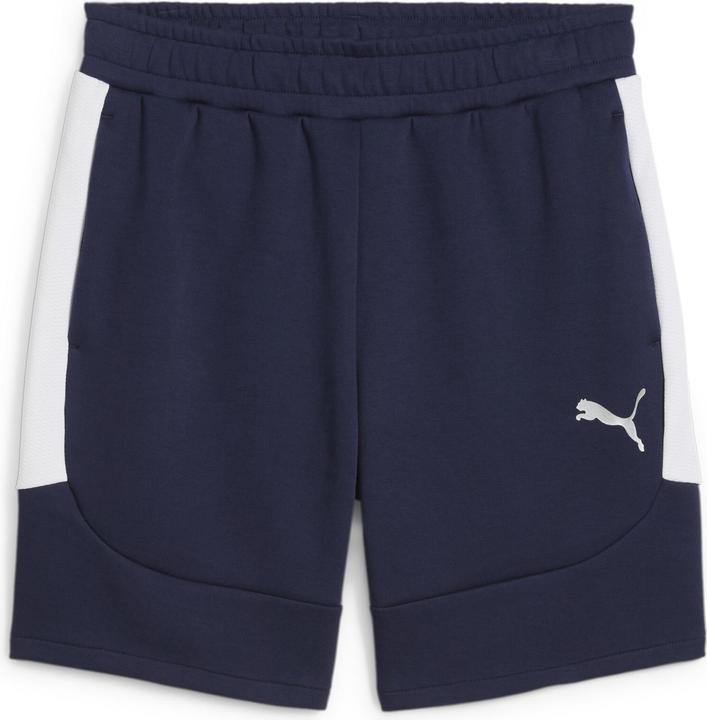 Puma teamEVOSTRIPE Shorts