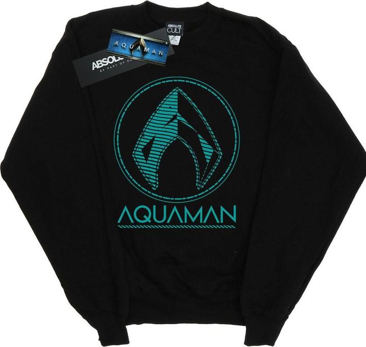 Produktbild Jungen Aquaman Aqua Logo Sweatshirt (140, 146)