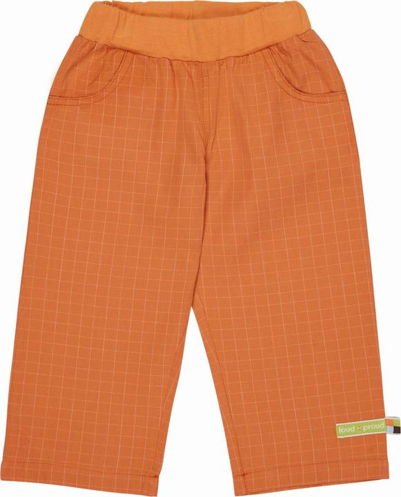 Actual product image loud + proud Fine check trousers (92)