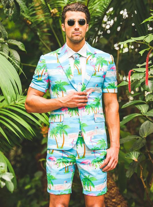 Image du produit OppoSuits Flaminguy (58)