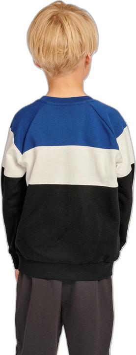 Actual product image hummel Claes Sweatshirt (110)