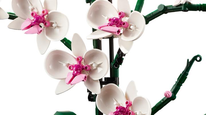 Produktbild LEGO Orchidee (10311, LEGO Botanical)