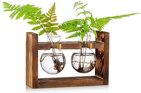 Produktbild Alopini Vermehrungsstation 2 Stück Glühbirne Avocado Vase Glas Eichel Vase Für Blumen Terrarium Jar