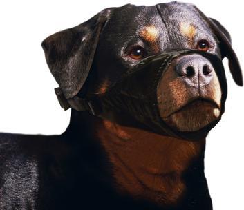 Image du produit Karlie Muselière (XL, Chien, Promenade)