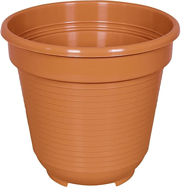 Actual product image Geli Standard (10 cm)
