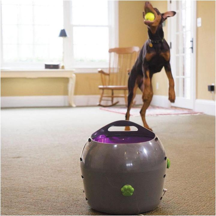 Produktbild PetSafe Ballwerfer (Ballspielzeug Hund)