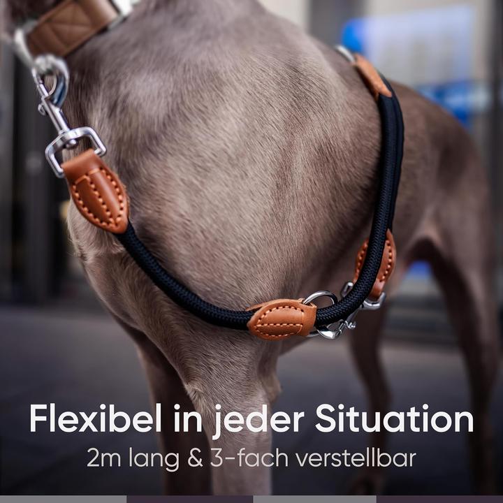 Actual product image Freudentier Verstellbare Führleine (Dog, Walks)