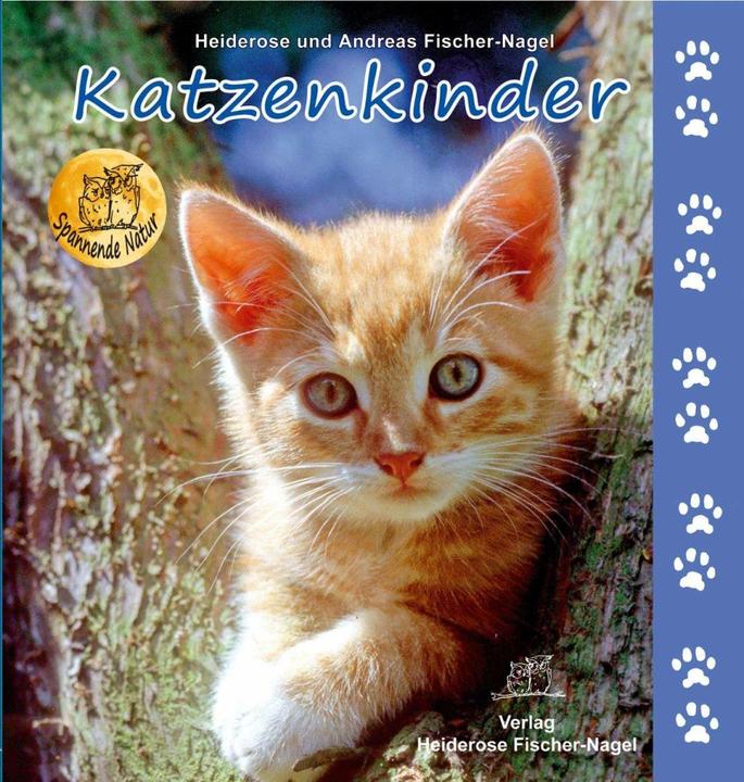 Produktbild Katzenkinder (Deutsch, Andreas Fischer-Nagel, 2012)