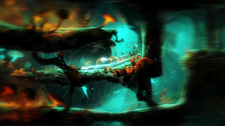Actual product image Skybound Ori and the Blind Forest Definitve Edition (Switch, DE)