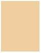 Actual product image MAC Cosmetics Fix Powder Plus Foundation (C35)