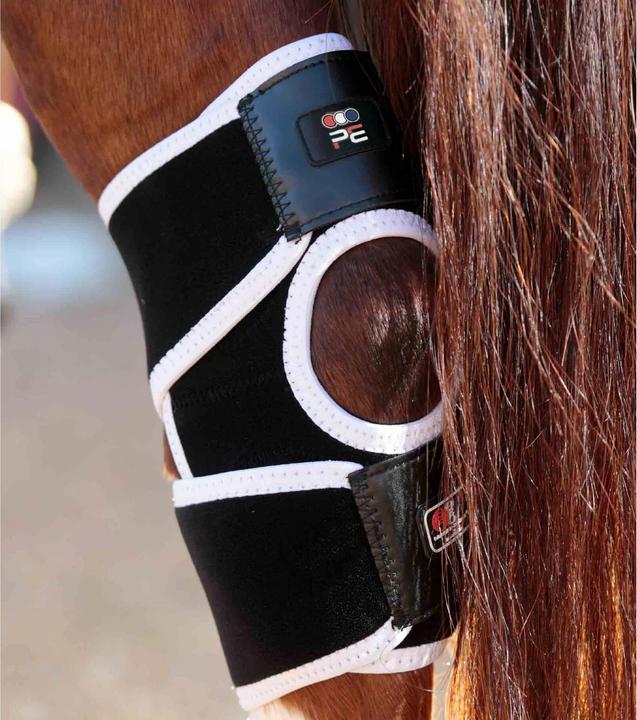 Actual product image Premier Equine magnetic knee protectors for horses magni-teque
