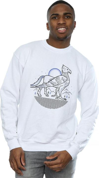 Image du produit - Sweat BUCKBEAK LINE ART - Homme (L)