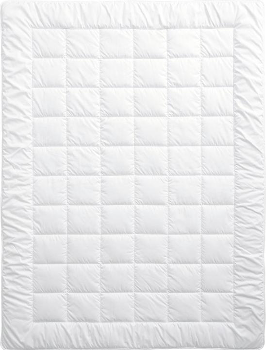 Immagine prodotto Billerbeck Edition Seta (1050 g, 240 x 240 cm)