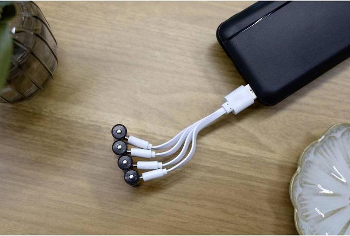 Immagine prodotto Ansmann 1311-0031 Batteria al litio ricaricabile micro (AAA) 400 mAh 1,2 V 8 pz. (8 pz., AAA, 400 mAh)