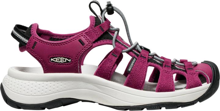 Image du produit Keen W Astoria West Sandal (41)