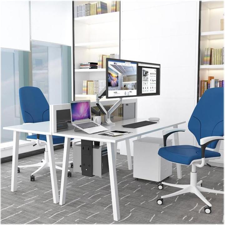 Image du produit Neomounts Nsls025
