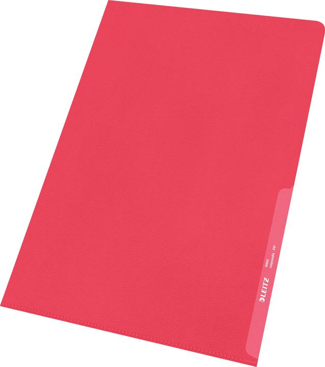 Actual product image Leitz Transparent pockets PP A4 (A4, 100 x)