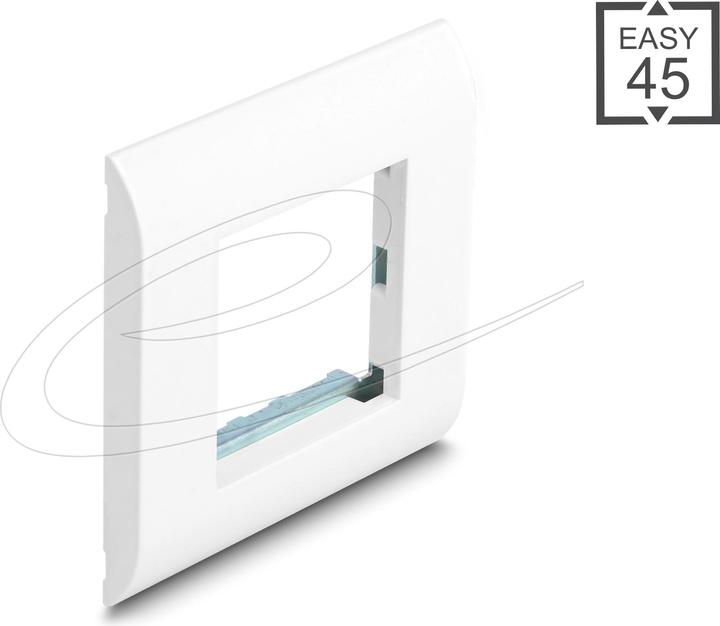 Actual product image Delock Easy 45 White