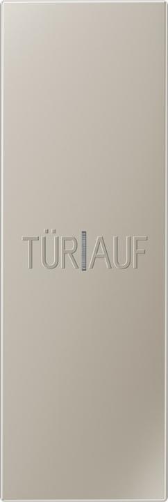 Image du produit JUNG Bascule à grande surface ES 2993 KO5 P
