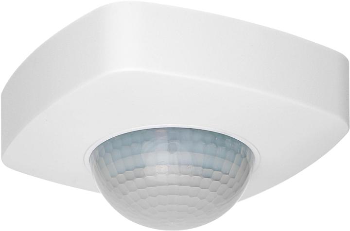 Steffen Quad (16 m)