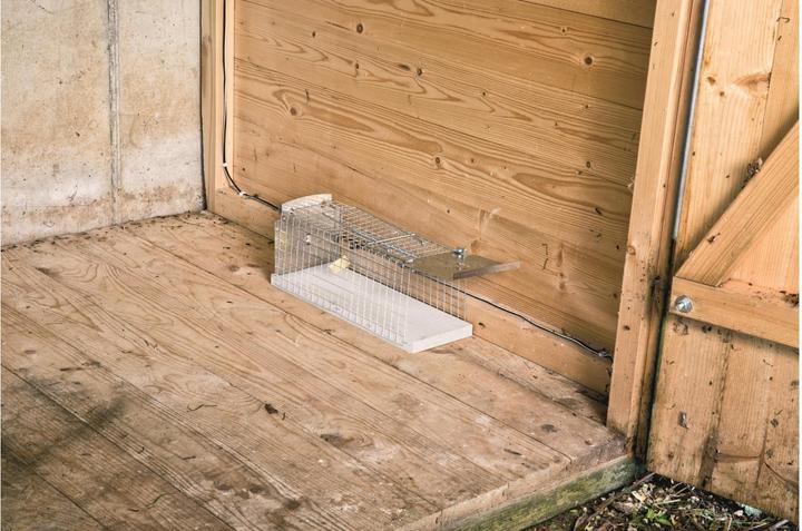 Image du produit Windhager Piège à rats à boîte métallique 29,5x10,5x12,5cm