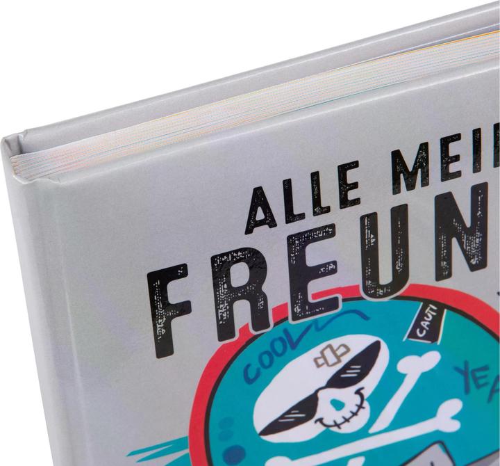 Actual product image Goldbuch Skater friends book (A5)