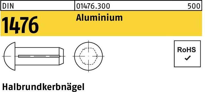 Image du produit Clou à encoche demi-ronde DIN 1476 2 x 10 Aluminium DIN 1476