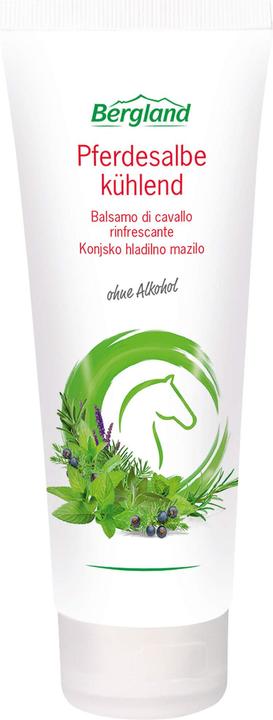 Bergland Pferdesalbe Kuehlend (1 x, 100 ml)