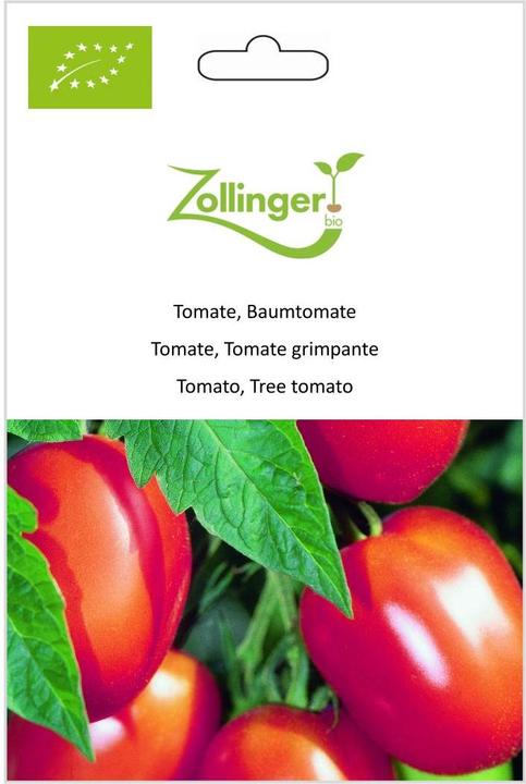 Actual product image Zollinger Bio Tomato, Tree Tomato (Seed bombs)