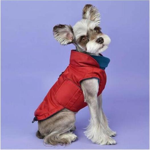 Image du produit Puppia Tomas Rouge XXL (XXL)