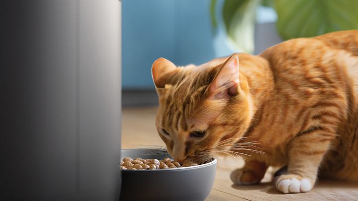 Image du produit Philips Distributeur de nourriture intelligent avec caméra (4.50 l)