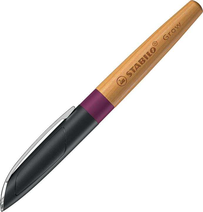 Immagine prodotto STABILO Penna stilografica Crescere (Prugna, Ciliegio, 1 x)