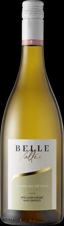 Image du produit Jean-René Germanier Fendant AOC Valais (1 x 75 cl, 2022)