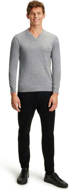 Actual product image Falke BA V-Neck m (L)
