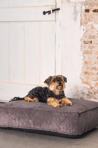 Actual product image Designed by Lotte Ribbed (Dog)