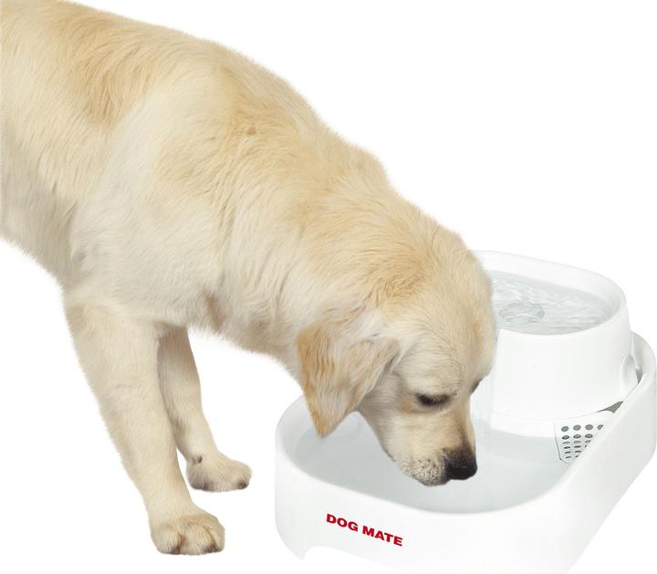 Productafbeelding Dog Mate DrinkfonteinLiter DrinkfonteinLiter (6 l)