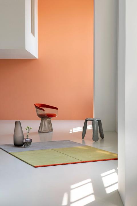Immagine prodotto Brink & Campman Decorazione (200 x 280 cm)