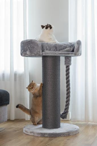 Produktbild Beeztees Tura (100 cm, Grey)