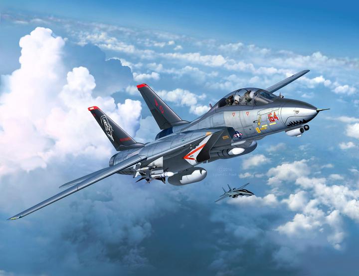 Actual product image Revell F-14D Super Tomcat