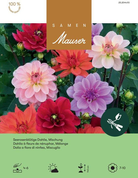 Image du produit Samen Mauser Seerosen- Mischung (Graines de fleurs)