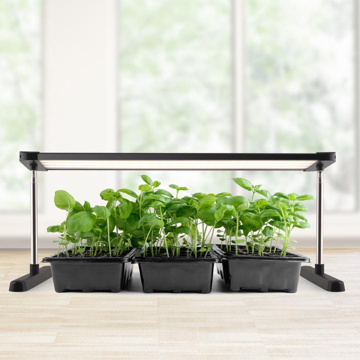 Actual product image Enne Interior Plate Grow LED Grow Light, 24 W, 1700 lm, black (LED)