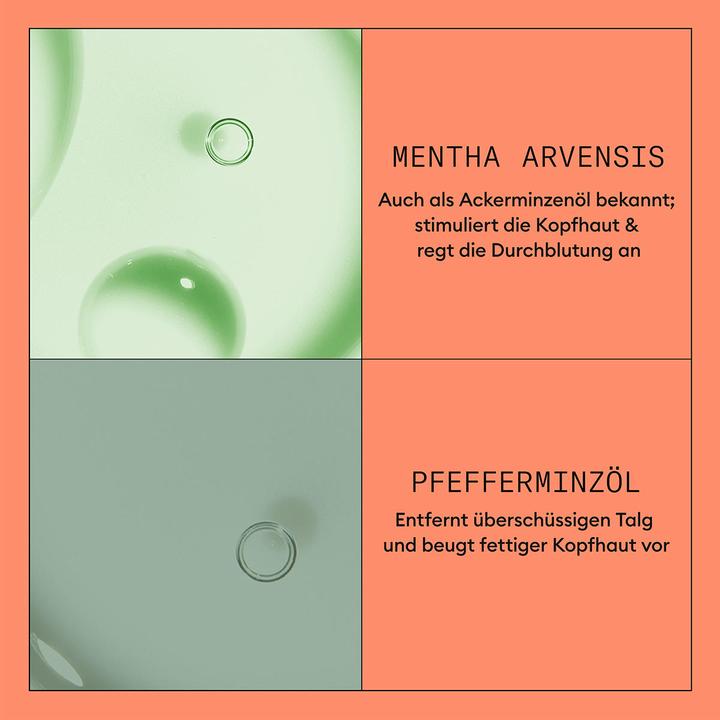 Produktbild Nioxin Scalp Revitaliser 4 (300 ml)