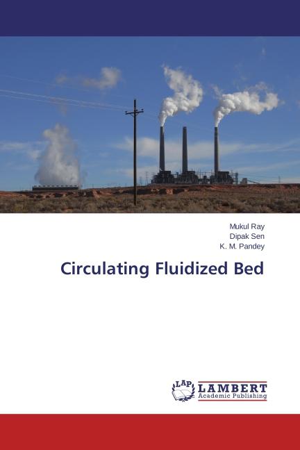 Produktbild Circulating Fluidized Bed (Dipak Sen, Mukul Ray, K. M. Pandey, 2014)