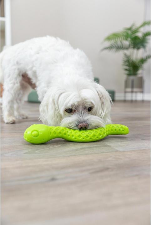 Produktbild Trixie Hunde-Spielzeug Snack-Snake, 27 cm, Grün (Kauspielzeug Hund)
