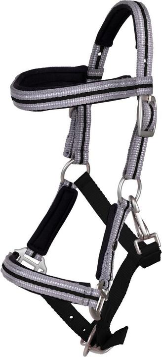 Qhp Fohlenhalfter mit Stirnband
