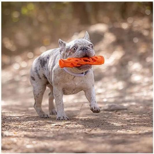 Image du produit Chuckit! Chuckit - Breathe Right Fetch Stick L 30cm - (CHUC32215) (Jouet à lancer chien)
